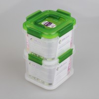 Small Rectangle Shape Plastic Food Containers with Handle